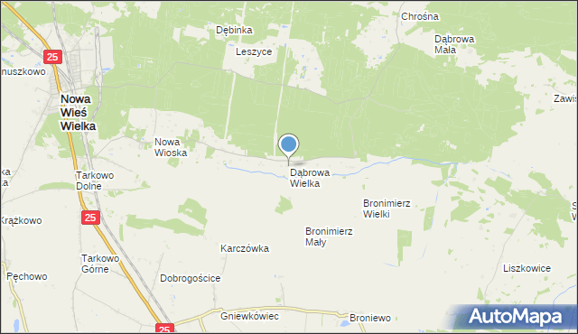 mapa Dąbrowa Wielka, Dąbrowa Wielka gmina Nowa Wieś Wielka na mapie Targeo